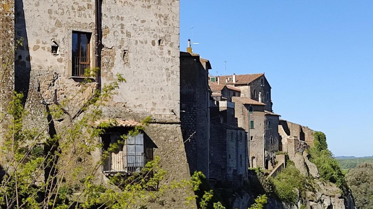 La Chascona Di Farnese Casa Di Tufo Nel Borgo Apartman Kültér fotó