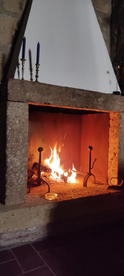 La Chascona Di Farnese Casa Di Tufo Nel Borgo Apartman Kültér fotó