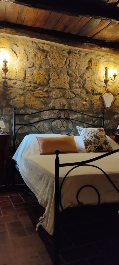 La Chascona Di Farnese Casa Di Tufo Nel Borgo Apartman Kültér fotó