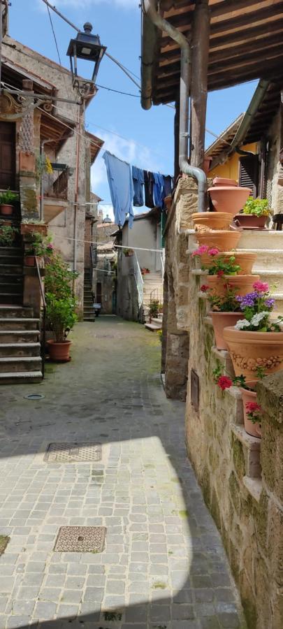 La Chascona Di Farnese Casa Di Tufo Nel Borgo Apartman Kültér fotó
