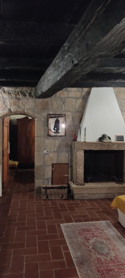 La Chascona Di Farnese Casa Di Tufo Nel Borgo Apartman Kültér fotó