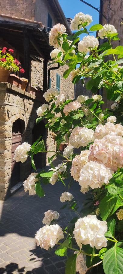 La Chascona Di Farnese Casa Di Tufo Nel Borgo Apartman Kültér fotó