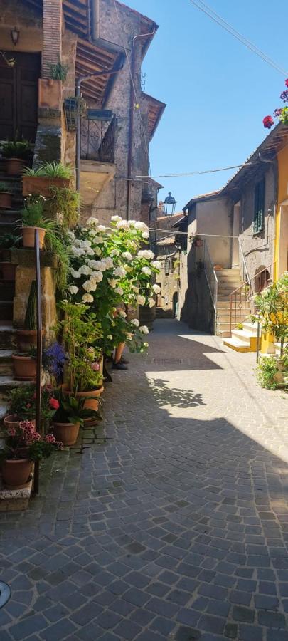 La Chascona Di Farnese Casa Di Tufo Nel Borgo Apartman Kültér fotó